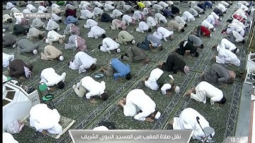 صلاة المغرب من المسجد النبوي الشريف..  تلاوة الشيخ عبدالمحسن بن محمد القاسم - الاثنين 1443/01/22هـ