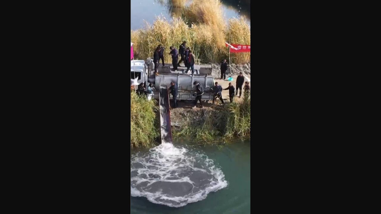 50,000 endangered fish released into major lake in China's Xinjiang