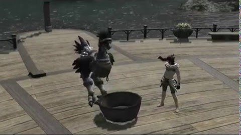 Training Soot Black Chocobo. FF XIV heavensward