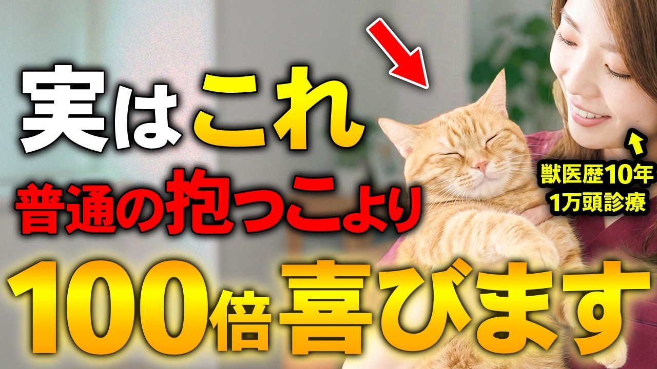 【裏技】猫がデレデレになる抱っこ成功4ステップ