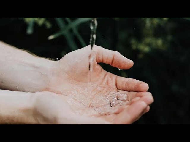 Learning from the Journey | Sun 31 Aug |  Rosslyn Hill Unitarian Chapel