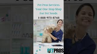 Pet Pros Services Your One Stop Shop For Pet Needs