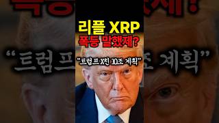 리플 XRP 폭등 말했제? &quot;트럼프 X친 10조 계획&quot; #리플 #리플전망 #XRP