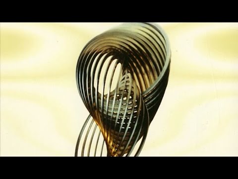 Auricular — Auricular - Wasp Or Fly (Melo Mix)