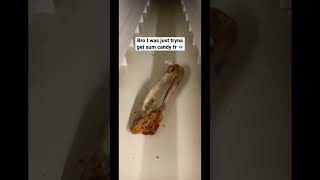 A Bone 🦴 #Shorts #Viral #Fyp #Tiktok #Funny #Happy #Shortsfeed #Laugh #Ohio #Popular #Subscribe