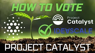 Get Paid In ADA | How To Vote In Cardano Project Catalyst