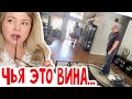 Мебель выносят из под носу! #натальяфальконе #сша #usa