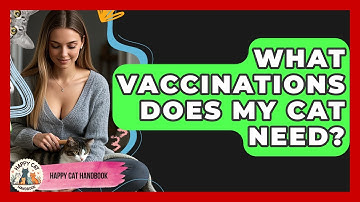 What Vaccinations Does My Cat Need? | Happy Cat Handbook