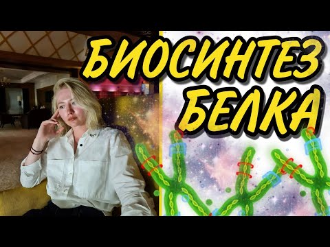 БИОСИНТЕЗ БЕЛКА:ТРАНСКРИПЦИЯ/ТРАНСЛЯЦИЯ/ИНИЦИАЦИЯ, ЭЛОНГАЦИЯ,ТЕРМИНАЦИЯ. ГЕНЕТИЧЕСКИЙ КОД