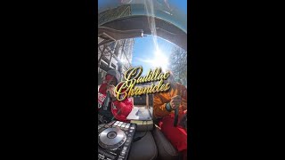 Mr Collipark x Cadillac Chronicles #live #music #producer