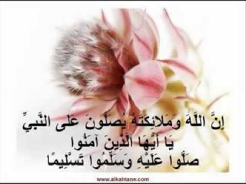 الشيخ عبدالرحمن الدرويش