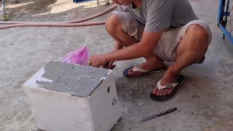 Cách làm hồ cá đơn giản chỉ tốn 50k- làm hồ cá bằng thùng xốp | DIY aquariums with styrofoam box