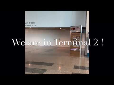A Walk From Singapore Changi Airport Terminal 3 To Terminal 2 During COVID Period