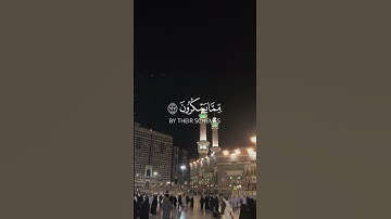 آلقران الكريم - سورة النحل - آلاية [ 128 ] القارئ علي جابر