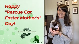 Happy 'Rescue Cat Foster Mother's' Day!   #catlover #mothersday