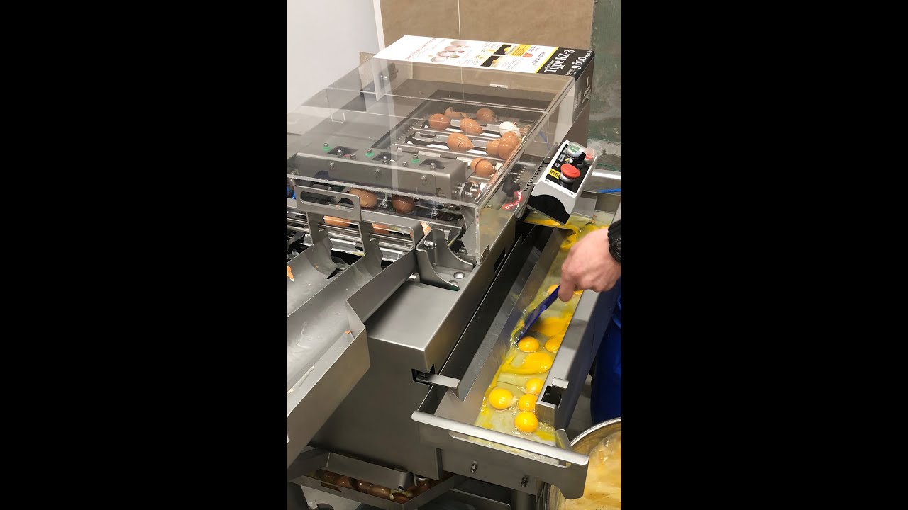 Manufactured by Dion Engineering LTD egg processing line installed in Mongolia.