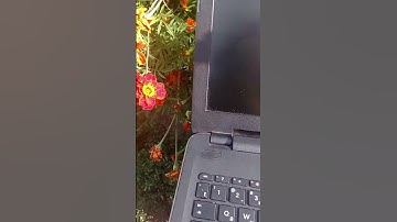 how to reset battery hp laptop