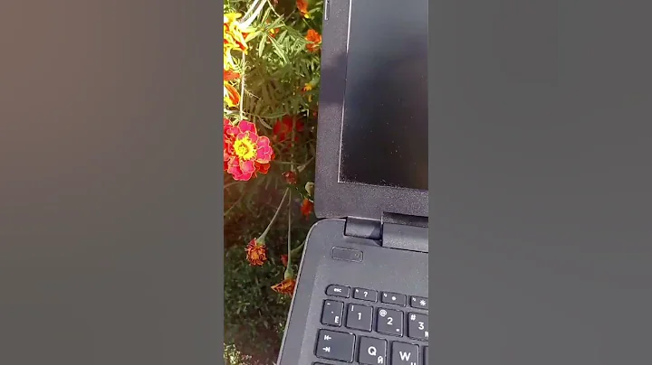 how to reset battery hp laptop