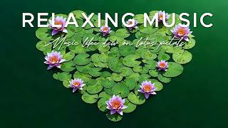🌊 Serene Waterside Workspace | Focus & Relax with Soft Piano Music | Oxy Music