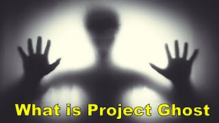 Celebrity What is Project Ghost? Wealth