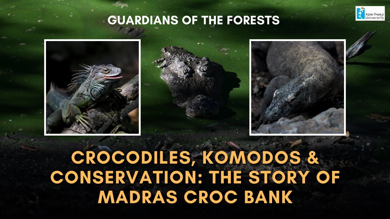 Crocodiles, Komodos & Conservation: The Story of Madras Croc Bank