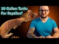 Top 5 Reptiles That Can Live In A Ten Gallon Enclosure FOREVER