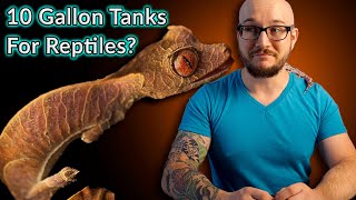 10 gallon reptiles