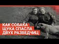 Собака спасла разведчиц на минном поле