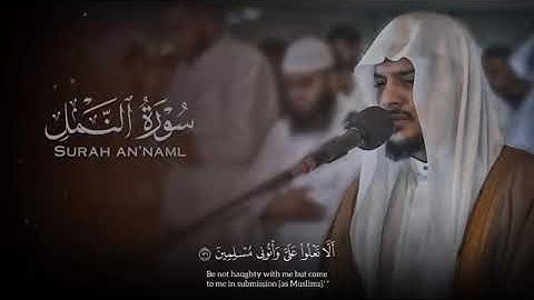 سورة النمل كاملة   بصوت القارئ هيثم الدخين