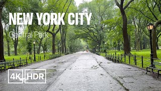 Heavy Rain & Thunderstorm Walk in Central Park