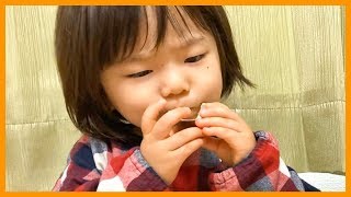 【ヒカキンさんGET！？】キティちゃんチョコエッグをモグモグ🍫【ちびっこモッパン】
