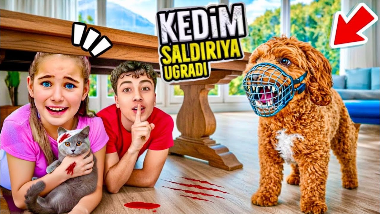 EYVAH BÜCÜR KAYIP KÖPEKLER KAÇIRDI ELİF SİNEM ‼️