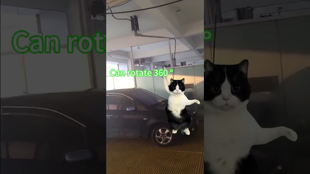 What's the car wash arm?  