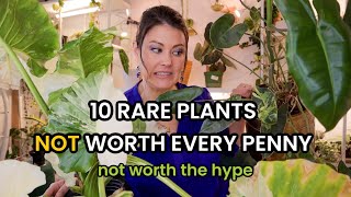 10 Rare Plants NOT Worth Every Penny  These Indoor Plants Aren't Worth The Hype