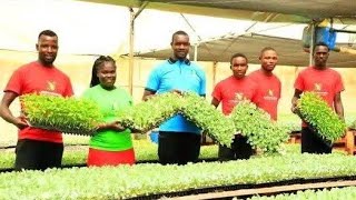 Technology in Farming, Huge Returns at NikTech Seedlings Farm 