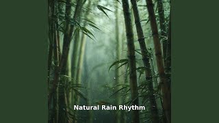 Deep Rainfall, Pt.15