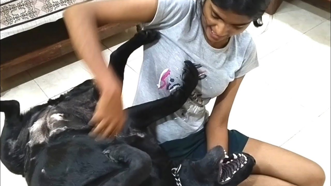 Funny Time Spending With Jenny And //Dog vlog video 