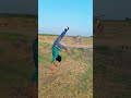 #Short💀 video #virel🔥 flip #support🙏guys