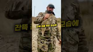 새끼 멧돼지를 주운 남성