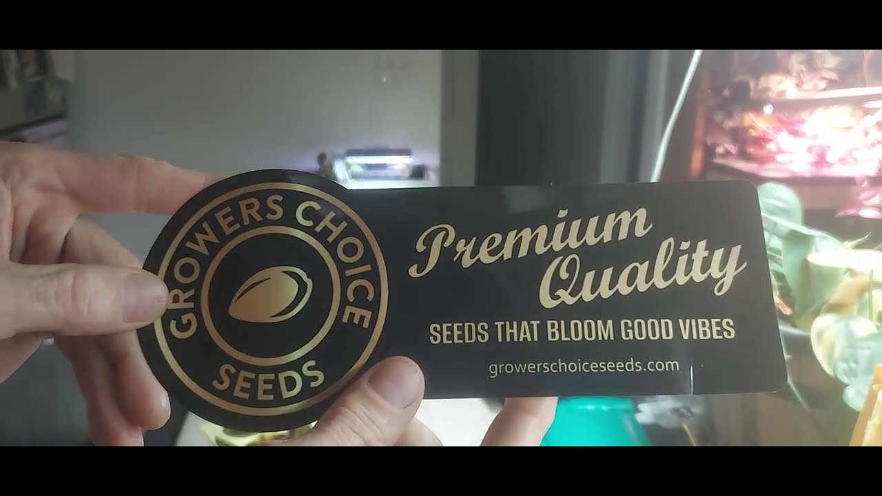Mail 📞 Growers Choice Seeds! 