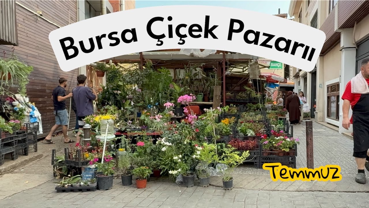 Bursa Çiçek Pazarını Geziyorum #vlog #çiçek #dikenlertacı #begonvil #menekşe  11 Temmuz