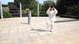 Tai Chi Performance, Deqing Fu