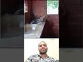 বানরে কাপড় কাচে #duet #comedyfilms #bestfunny