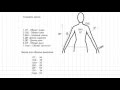 Урок 3  Построение основной выкройки для вязания