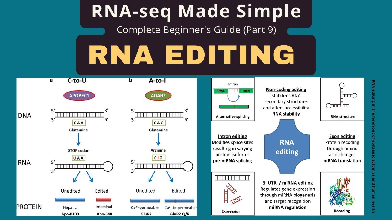 Detect RNA Editing Sites: REDItools2 Complete Guide - YouTube