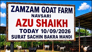 SURAT SACHIN BAKRA MANDI 10/9/2026 BY ZAMZAM GOAT FARM NAVSARI (AZU BHAI) GUJARAT BAKRA MANDI VIRAL