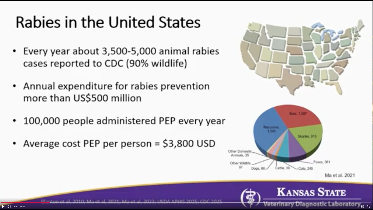 Rabies Across Species: Shared Risks and Responsibilities - YouTube