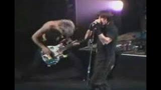Red Hot Chili Peppers - I Could Have Lied