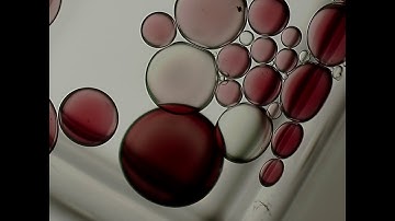 The prototype of a chemical computer detects a sphere