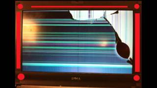 EVSC Netbook Care